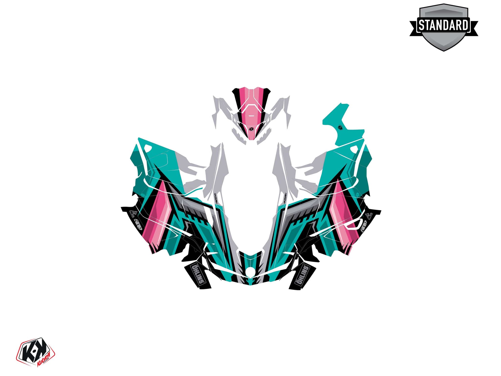 Kit graphique Motoneige SKIDOO BACKCOUNTRY SPORT SQUADRON Turquoise | Skidoo | Kutvek - View 2