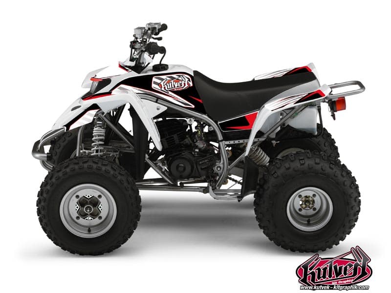 deko-set quad yamaha blaster 200 factory rot