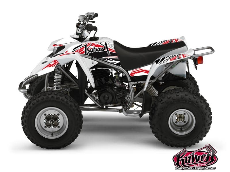 deko-set quad yamaha blaster 200 spirit rot